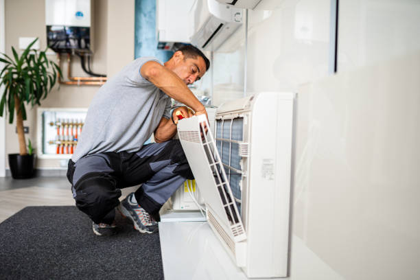 Best Professional Duct Cleaning Services  in Meadowbrook, AL