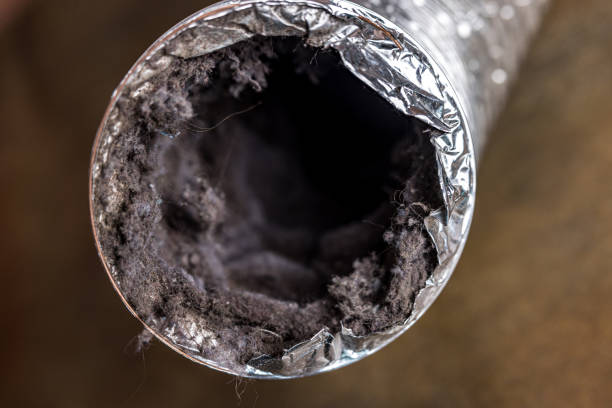 Best Commercial Air Duct Cleaning  in Meadowbrook, AL