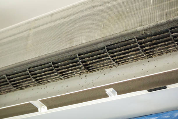 Best Affordable Duct Cleaning Services  in Meadowbrook, AL